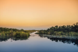 Chapter 3: Nature & Ecotourism 