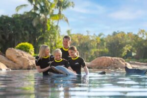 Orlando’s Discovery Cove Offers Discounts and Hotel Bundles