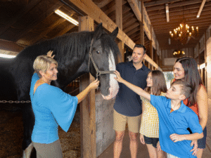 Central : Chapter 2: History & Heritage