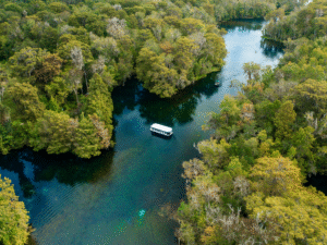 Central : Chapter 3: Nature & Ecotourism